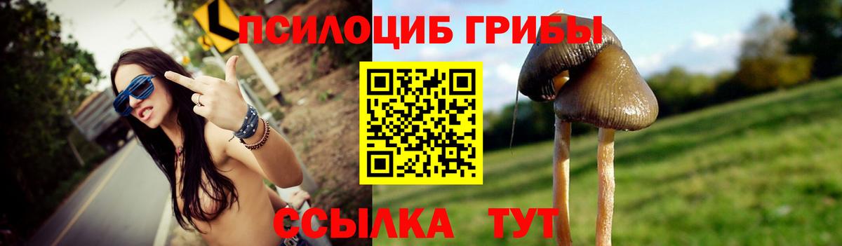 Псилоцибиновые грибы ЛСД  Вход с VPN  Нерюнгри 
